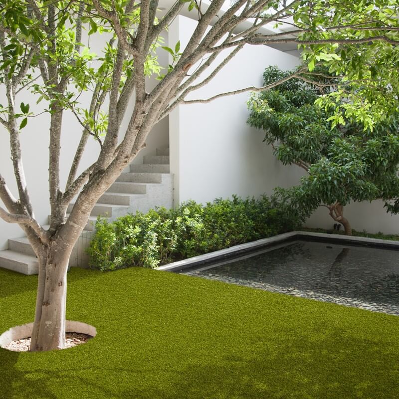 Image for What To Consider When Buying Artificial Grass