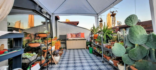 Image for How To Bring Your Balcony To Life