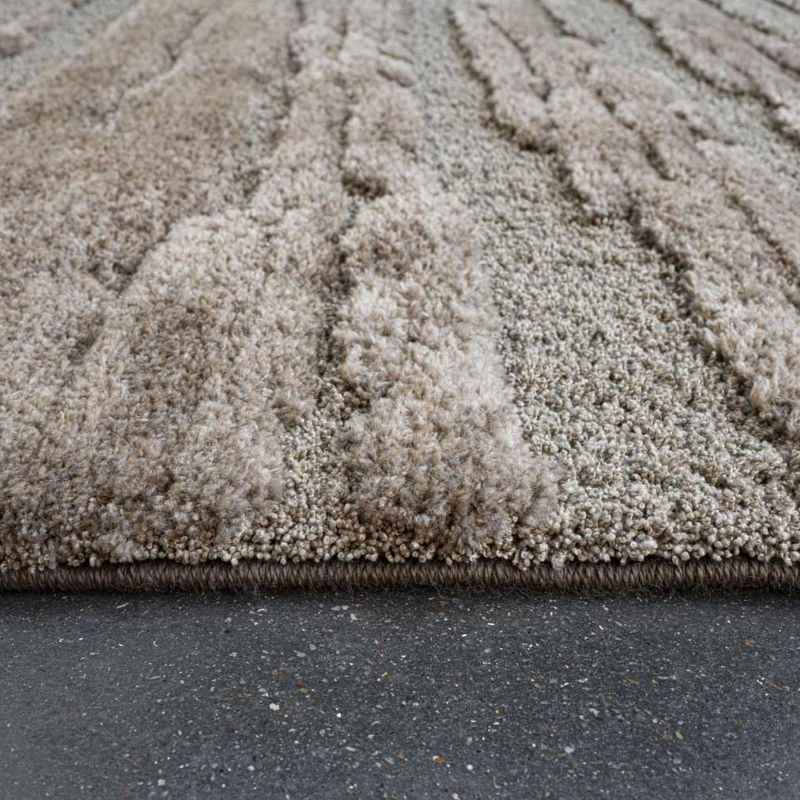 Cleo 13025 7222 Carved Shaggy Textured Rugs in Brown