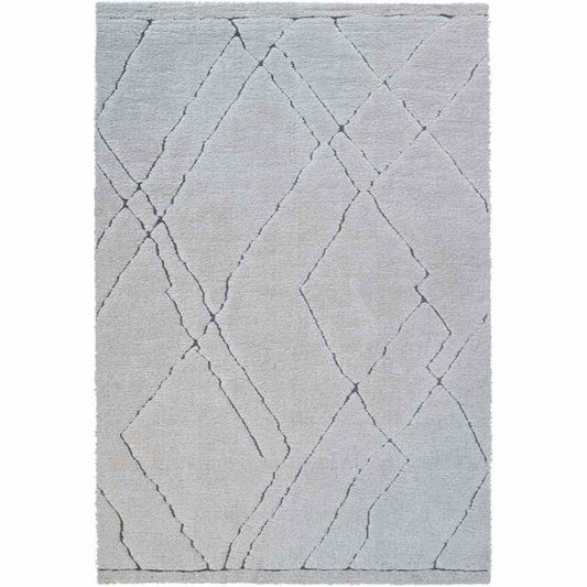 Dune 14005 6181 Carved Textured Shaggy Rug in White