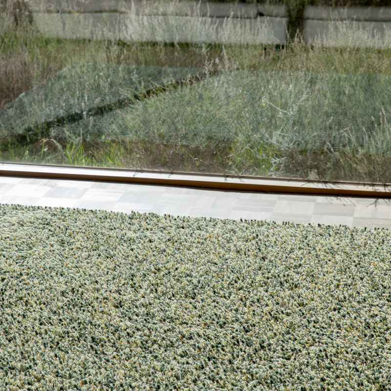 Spring Shaggy Rugs by Brink & Campman 59117 in Into the Woods