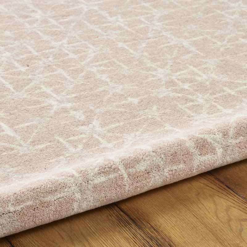 Chamonix Abstract Wool 46011 200 Rugs in Pink