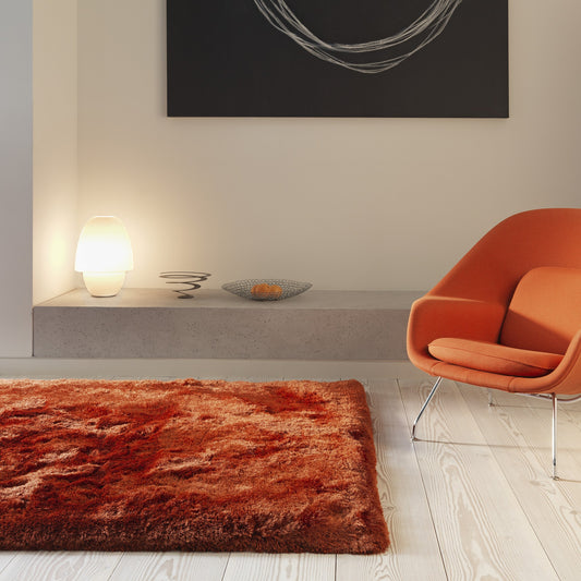 Plush Plain Modern Shaggy Rugs in Rust