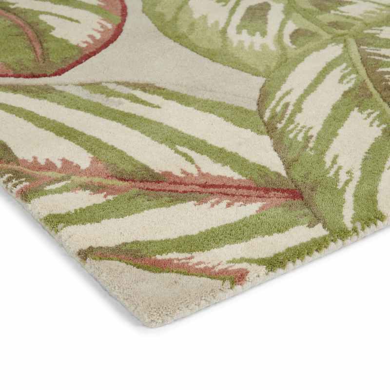 Calathea Rugs 50807 in Olive by Sanderson