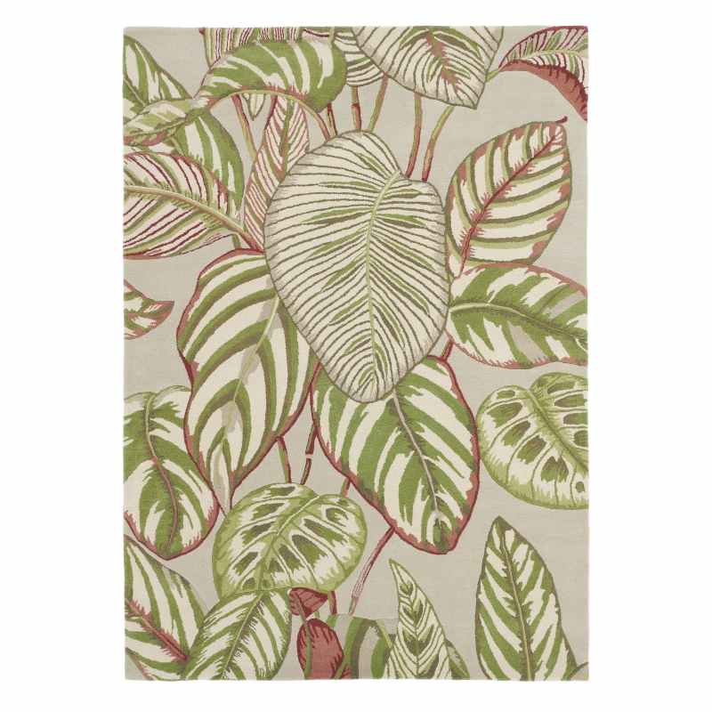 Calathea Rugs 50807 in Olive by Sanderson