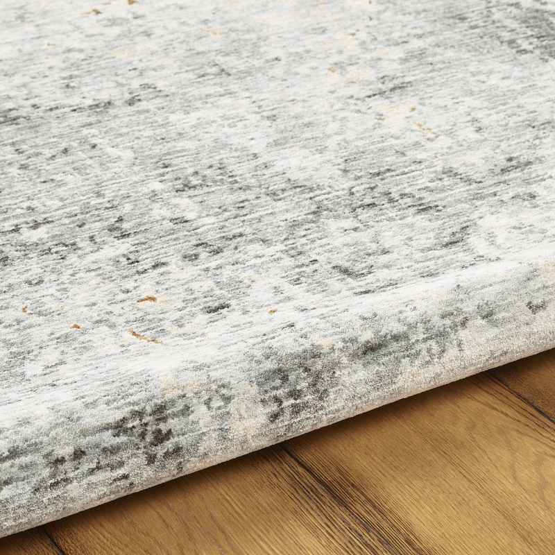 Ella Abstract Distressed Rugs 6817A in Beige Grey
