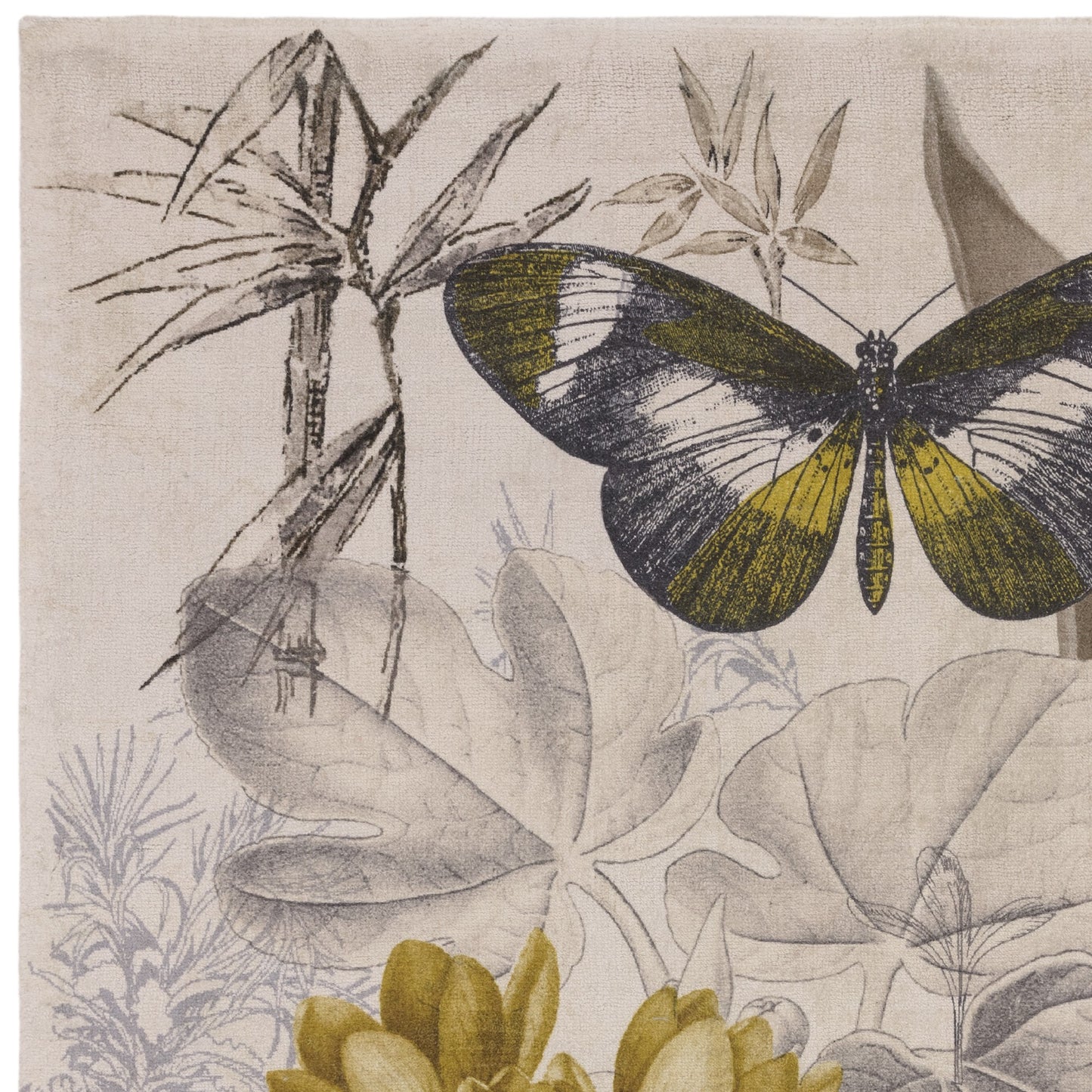 Botany Rug by Clarke & Clarke in Charcoal Chartreuse