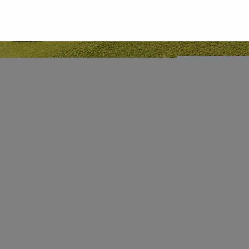 Solid Stem Wool Rugs 158307 by Orla Kiely in Fern Green