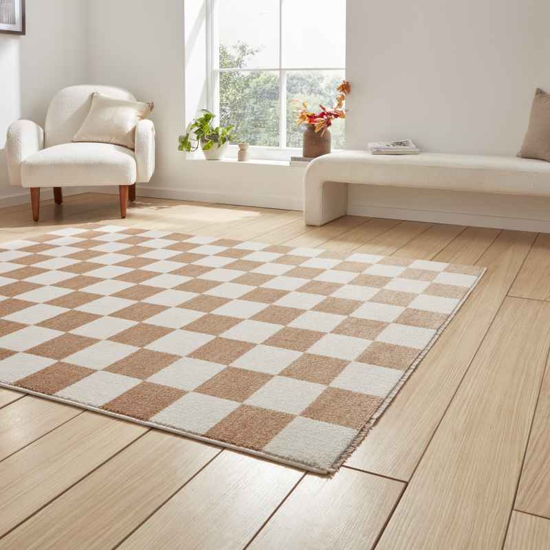 Baltimore 66618 Checkerboard Geometric Modern Rugs in Walnut Brown