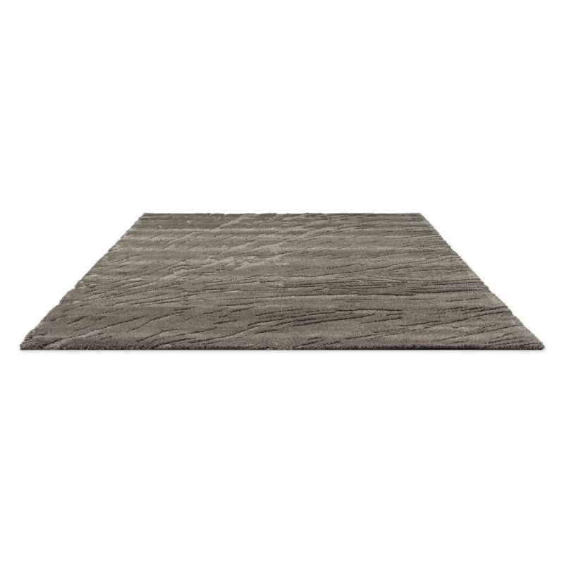Twinset Shore Rugs 121634 by Brink and Campman in Shiitake Grey