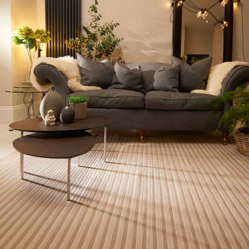 Origins Belgrade Striped Border Rug in Natural