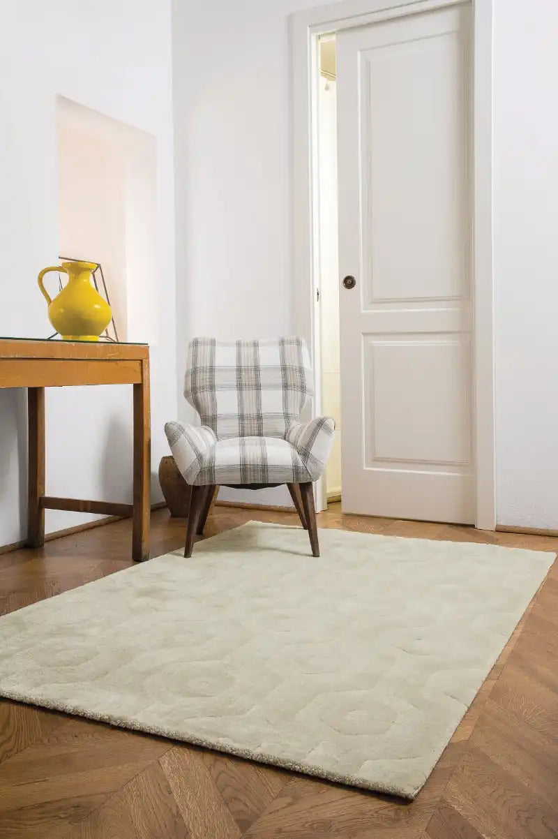 Asiatic echo asiatic ec 02 Grey   Rug.