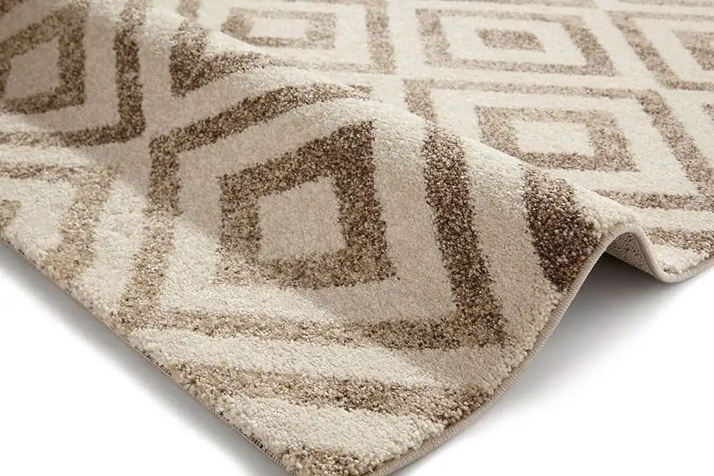 Elegant 4893 Beige Rug RS
