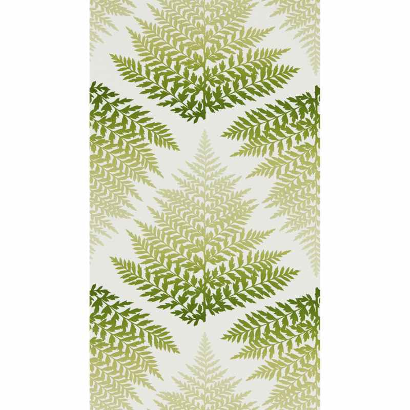Filix Wallpaper 111378 by Harlequin in Emerald Forest Green