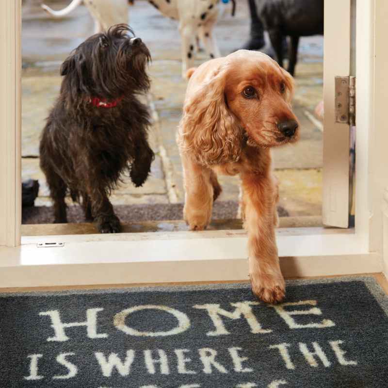Howler & Scratch Home Pet Mats 2 in Grey