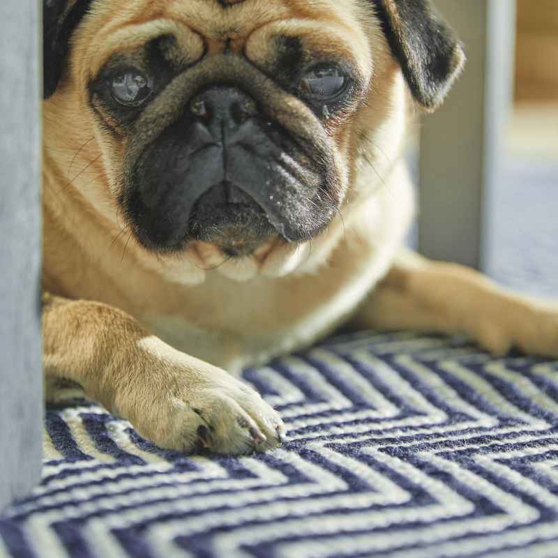 Hug Rug Reversible Woven Herringbone Rugs in Navy