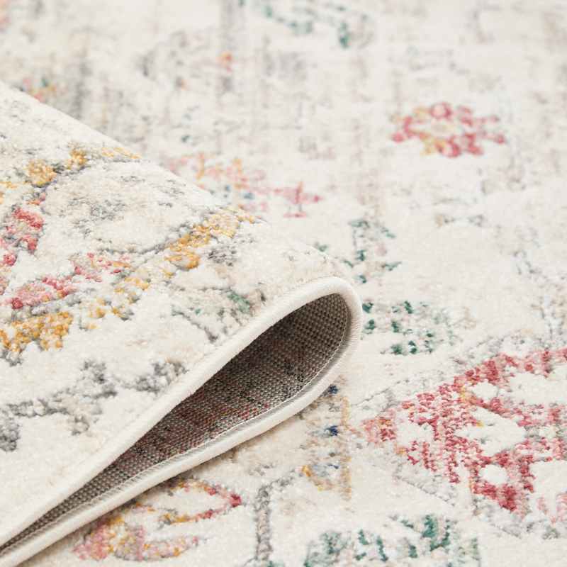 Nova Carlie Traditional Motif Distressed Rugs in Multi