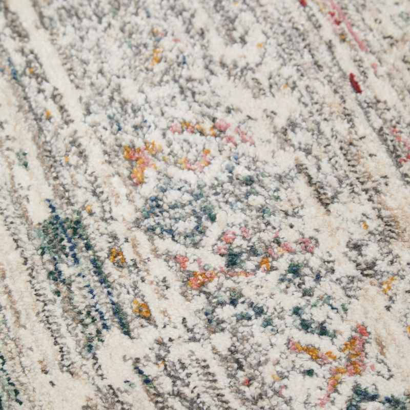 Nova Pioneer Traditional Distressed Motif Rugs in Multi