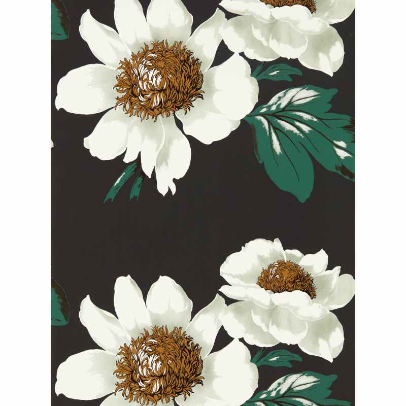 Paeonia Wallpaper 2112841 by Harlequin in Black Earth Fig Leaf Gold