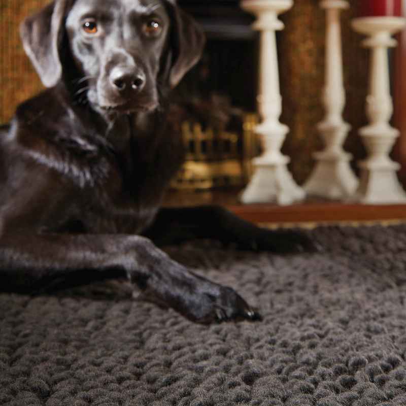 Union Wool Rugs in Fossil
