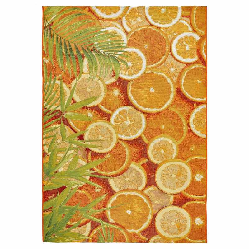 Tropicana 24 X Indoor Outdoor Rugs in Multi