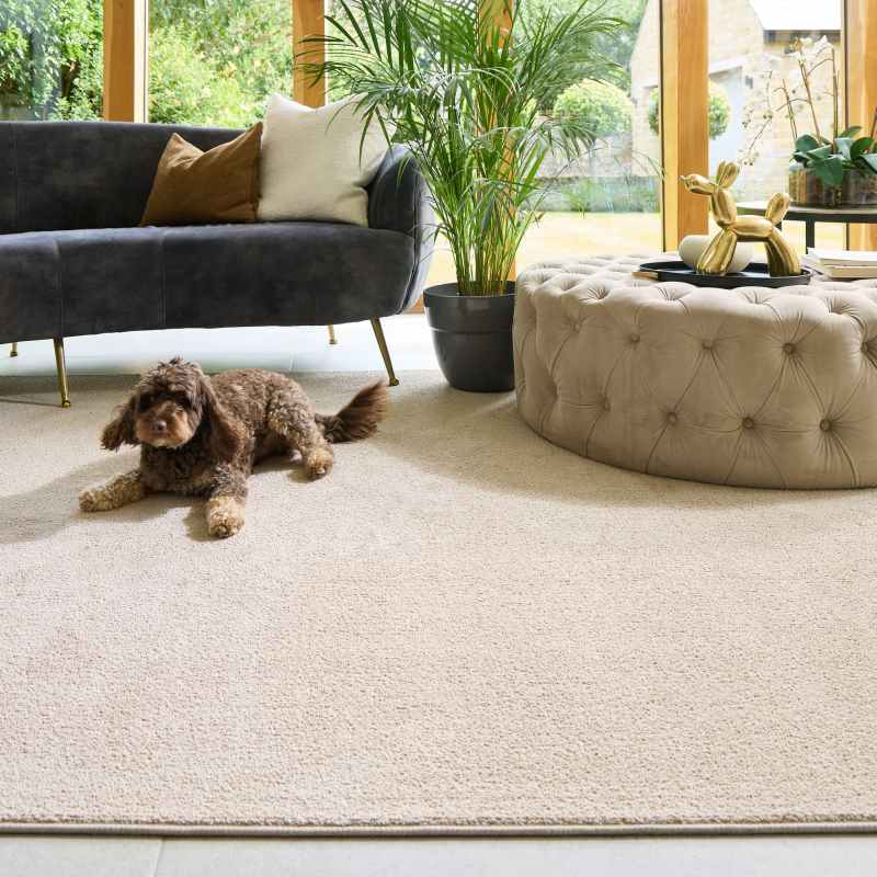 Hug Rug Sense Plain Modern Washable Luxury Rug in Beige