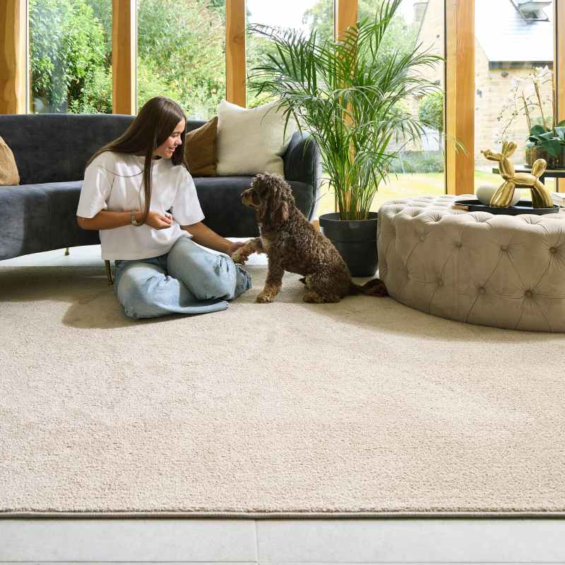 Hug Rug Sense Plain Modern Washable Luxury Rug in Beige