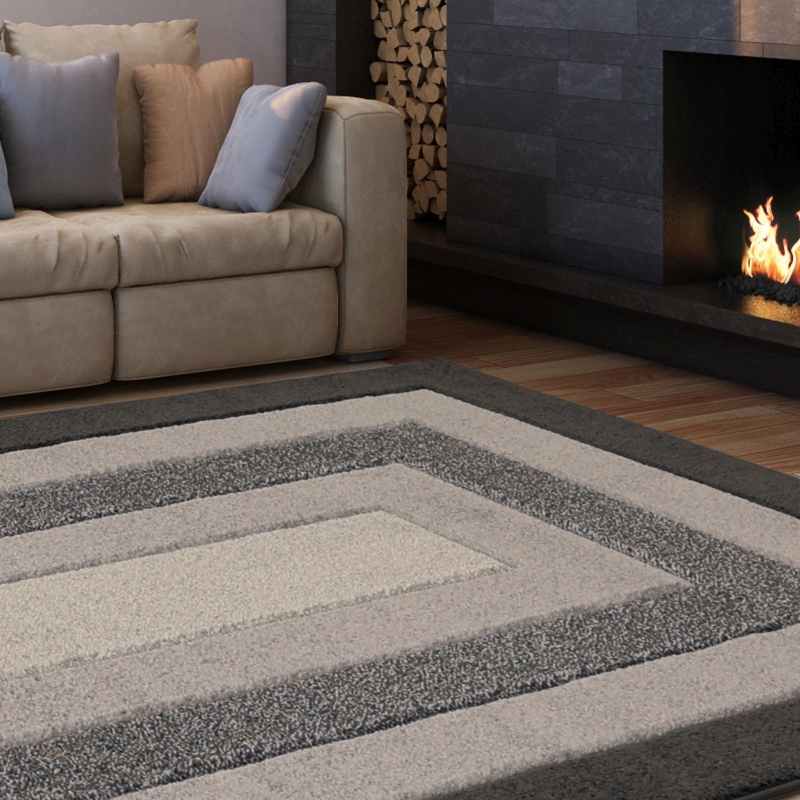 Sara Border Modern Geometric Carved Rugs in Grey
