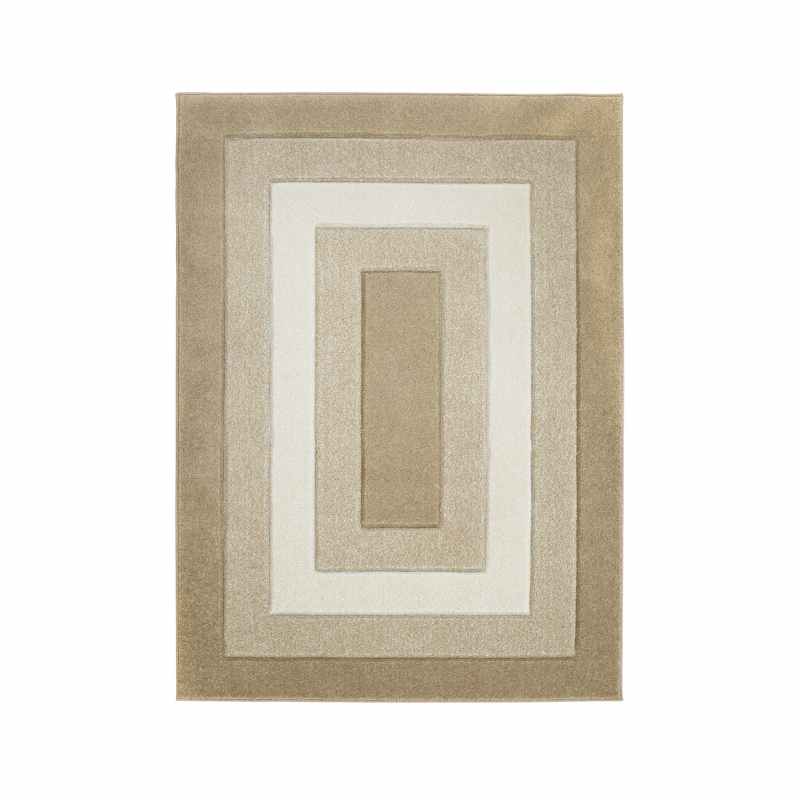 Sara Border Modern Geometric Carved Rugs in Latte Brown