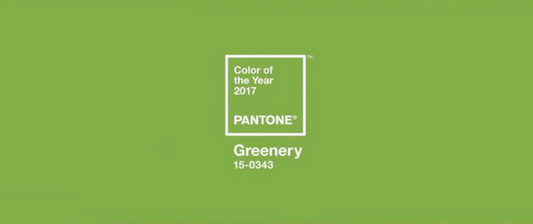 Image for Pantone Colour Trend of The Year 2017