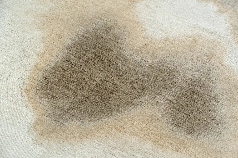 AQUARELLE NATURE 2089 Washable and Indoor/Outdoor RS