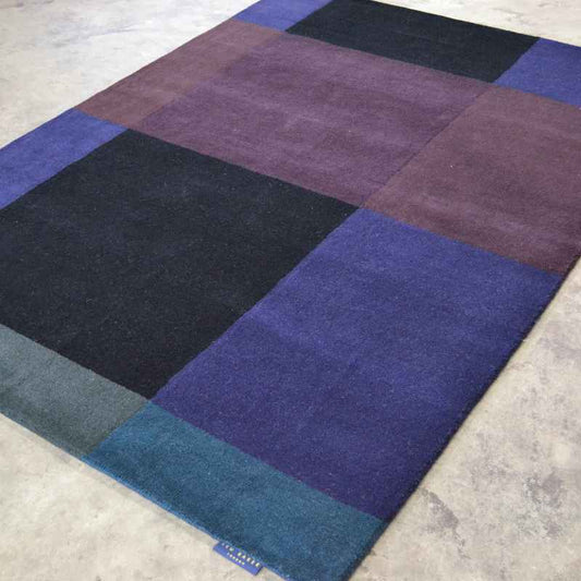 Plaid Rugs 57808 by Ted Baker in Navy