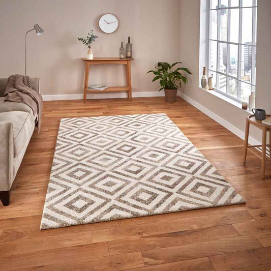 Elegant Geometric Pattern Rugs 4893 in Beige and White
