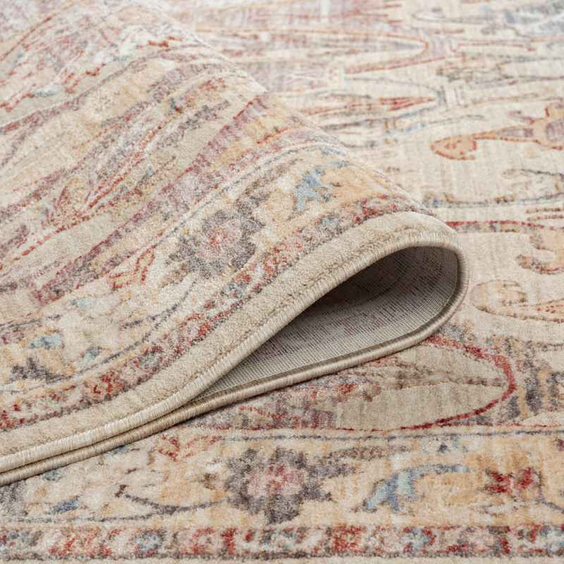 Alia 697GC Traditional Border Rugs in Beige Rose Pink