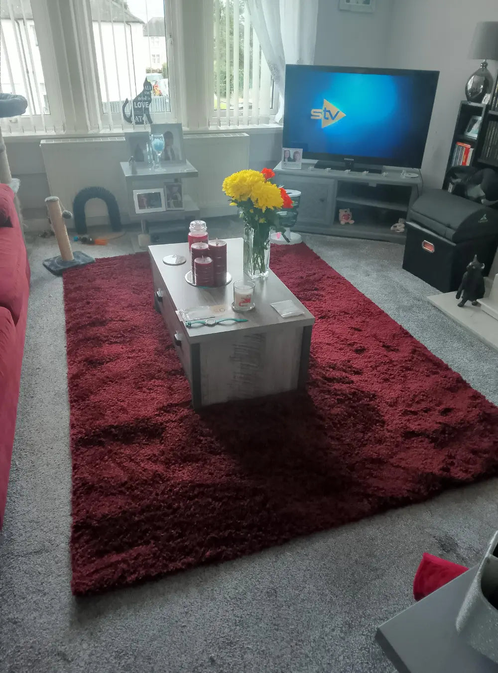 Sierra 9000 Ruby Rug RS