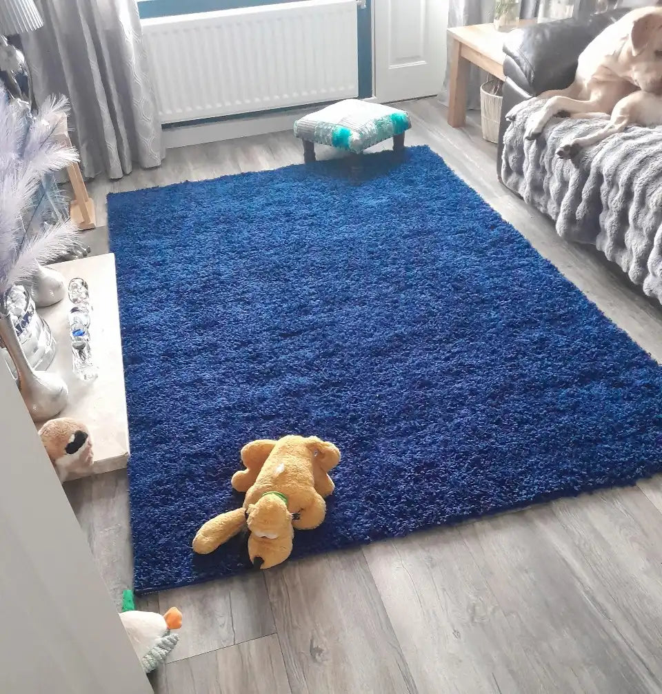 Oxford 912 Navy Rug