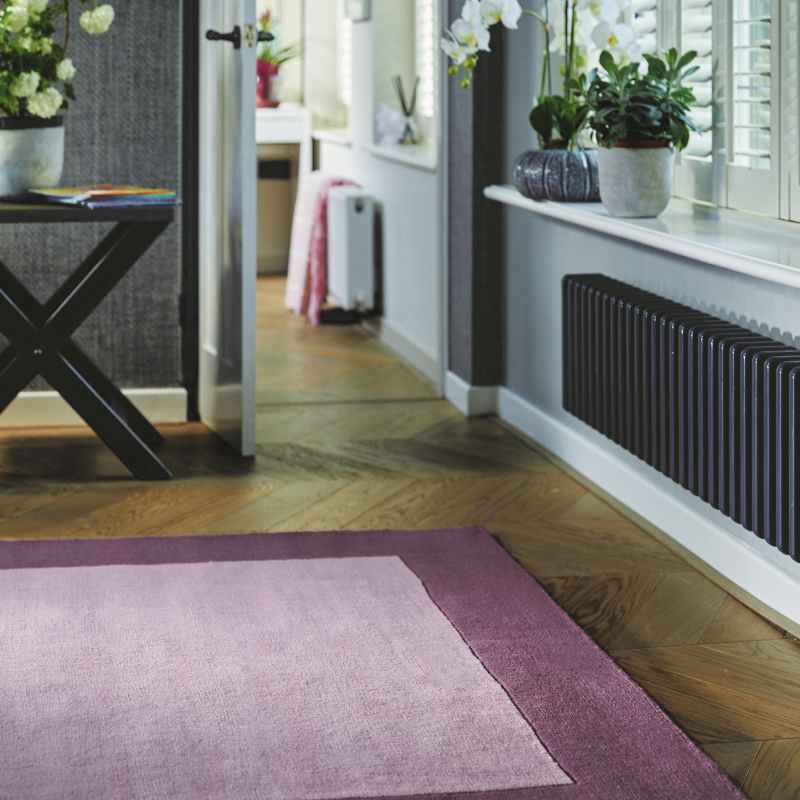 Origins Borders Plain Wool Rugs in Mauve Purple