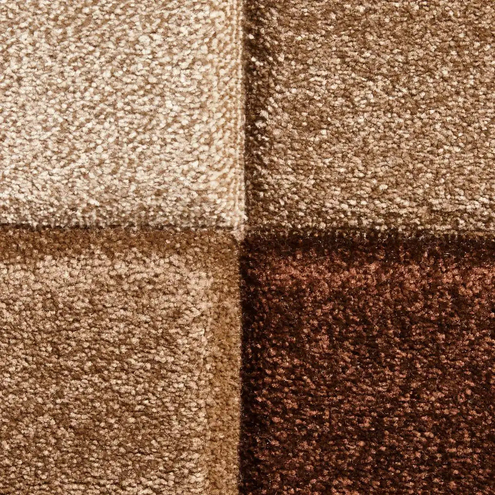 Brooklyn 646 Beige Brown Rug RS