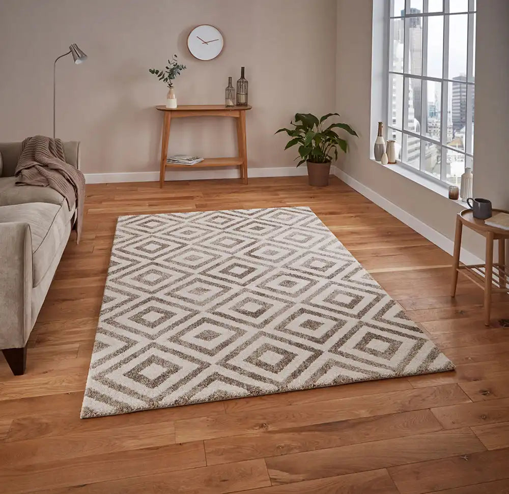 Elegant 4893 Beige Rug RS