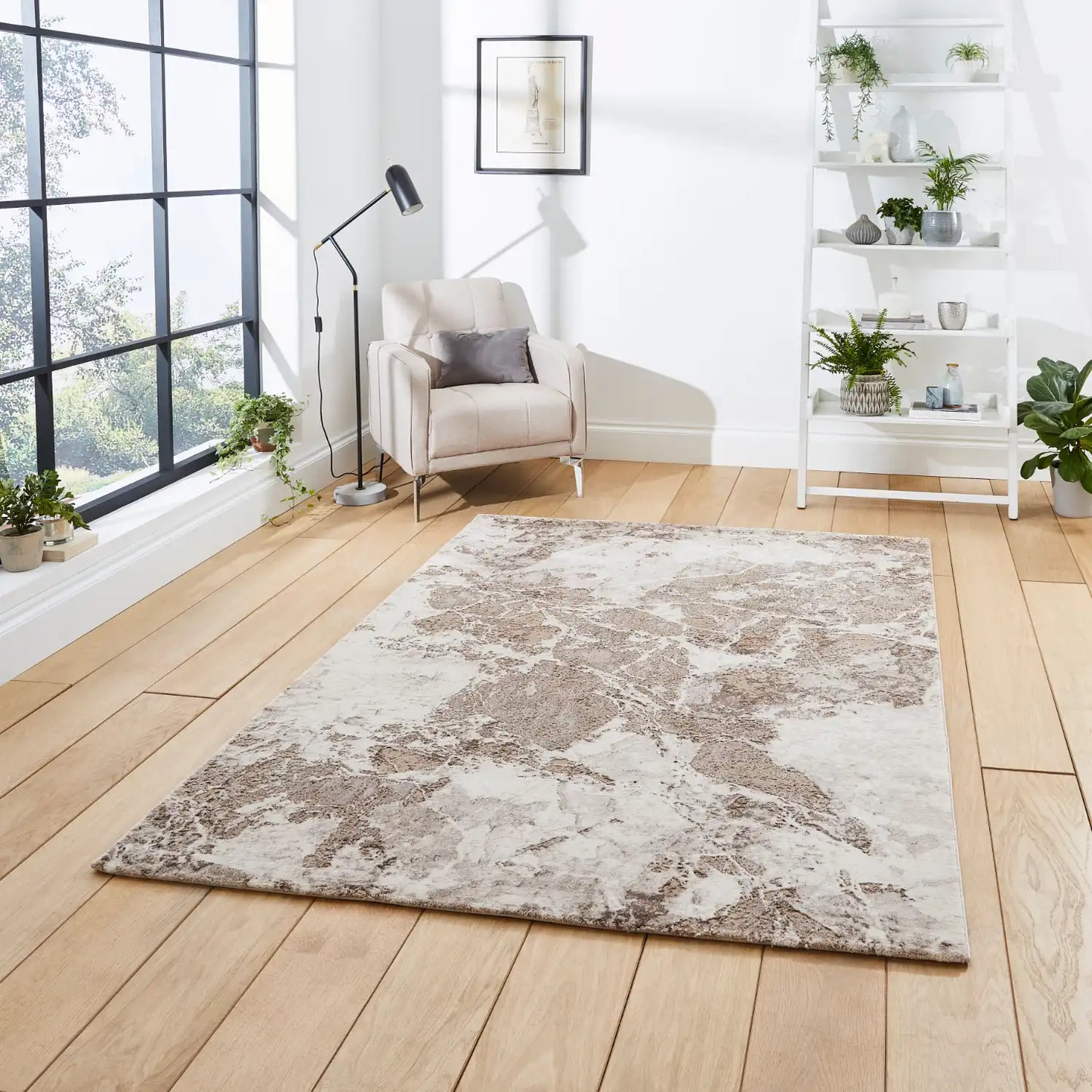 Florence 50033 Beige Silver Rug RS