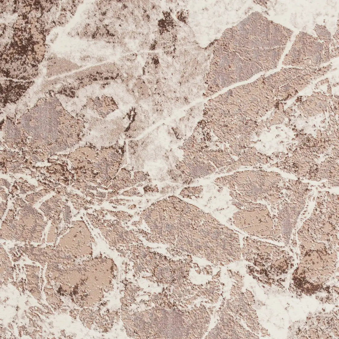 Florence 50033 Beige Silver Rug RS