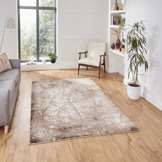 Florence 50035 Beige Rug RS