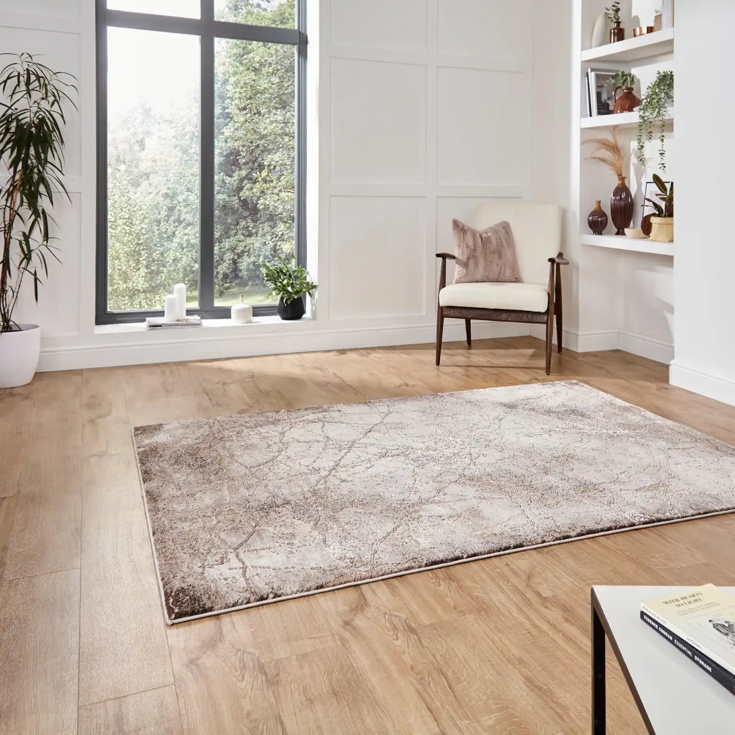 Florence 50035 Beige Rug RS