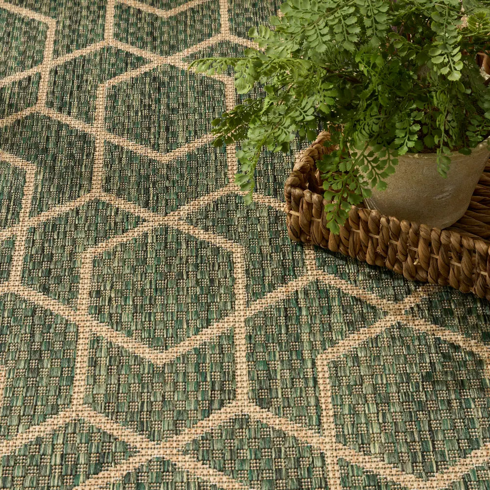 HORIZON INDOOR/OUTDOOR HOZ01 Green Indoor Outdoor RS