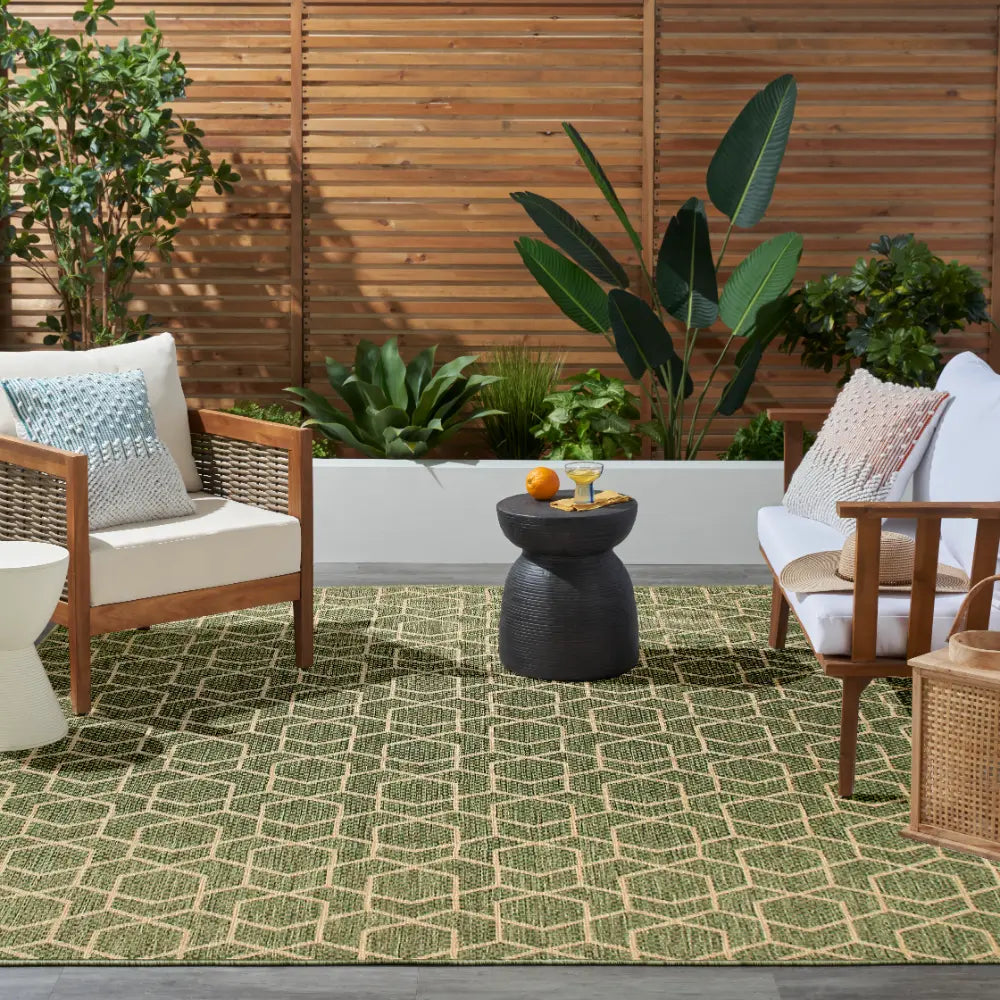 HORIZON INDOOR/OUTDOOR HOZ01 Green Indoor Outdoor RS