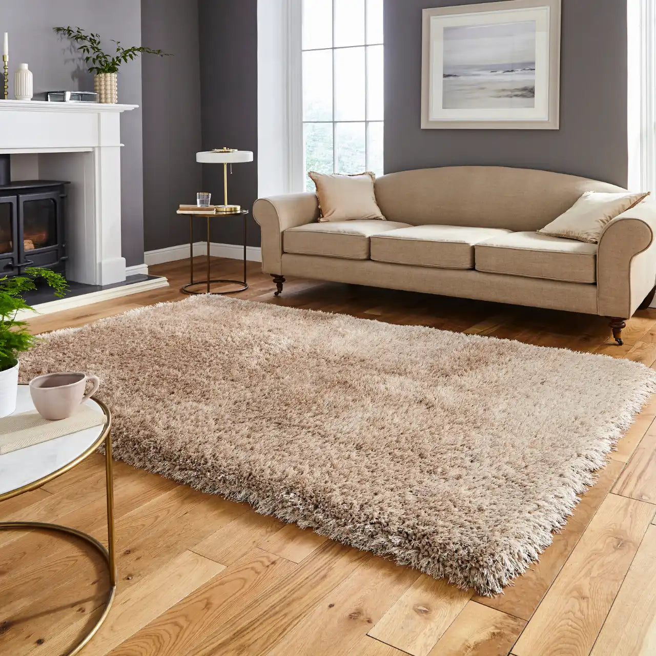 Montana Beige Rug RS