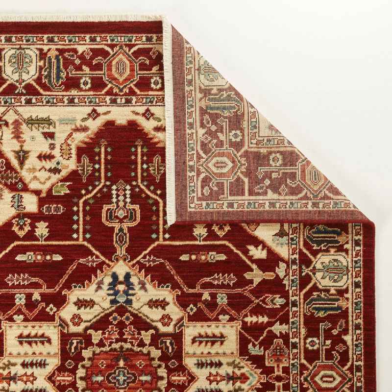 Nomad 1801 X Traditional Rugs in Multi