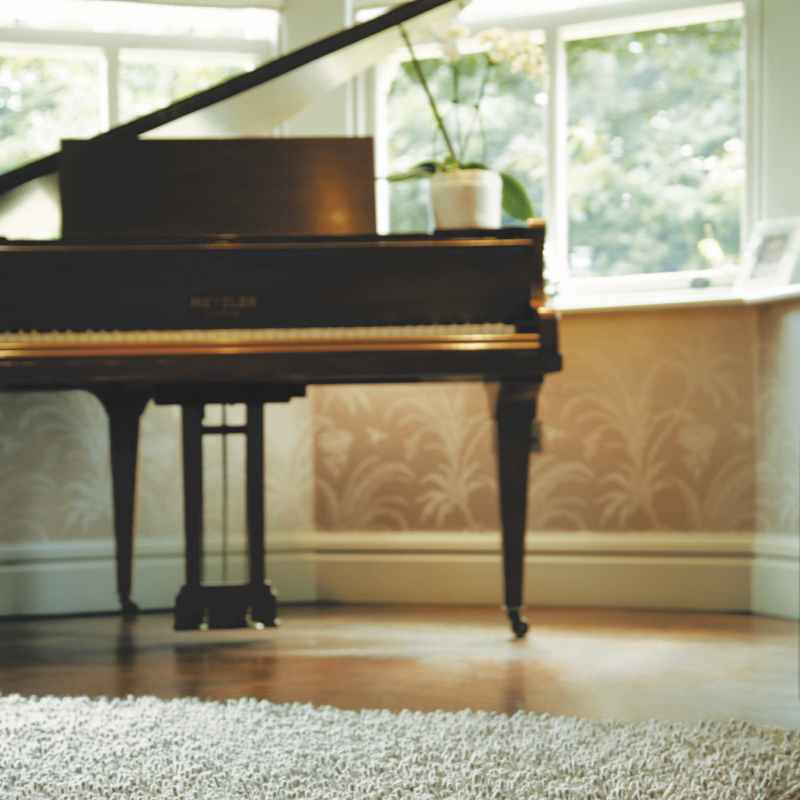 Imperial Shaggy Wool Rugs in Dove Grey