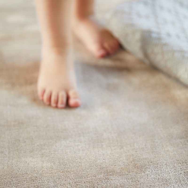 Karma Plain Viscose rugs in Mink