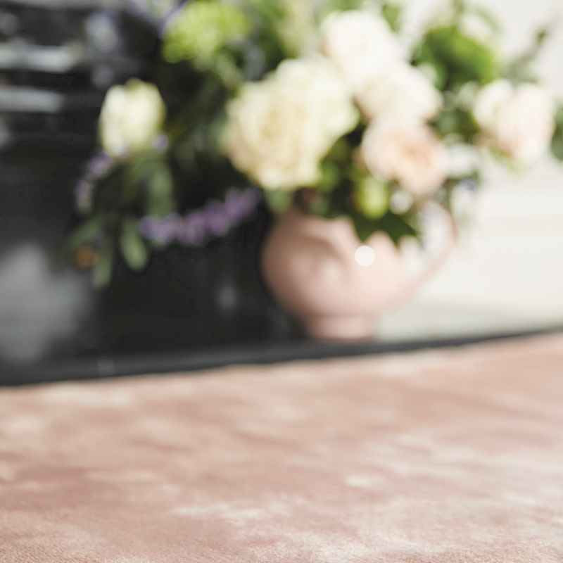 Karma Plain Viscose rugs in Nude